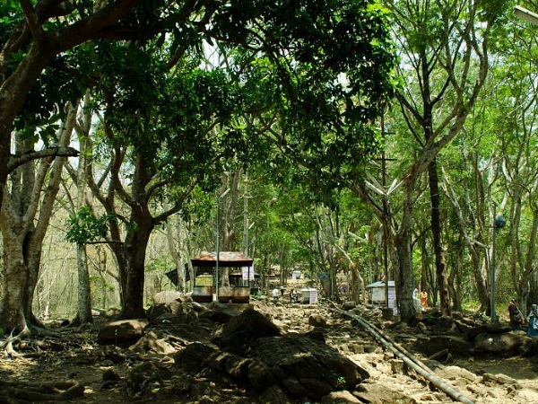 മലയാറ്റൂര്‍