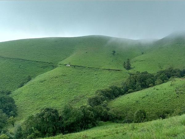 മടിക്കേരി