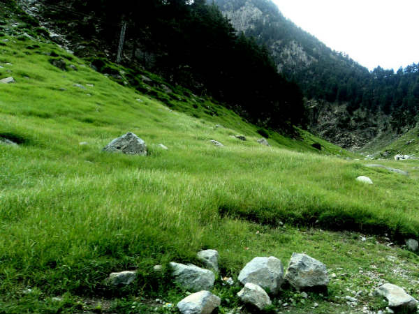 പാന്‍ഗോട്ട്