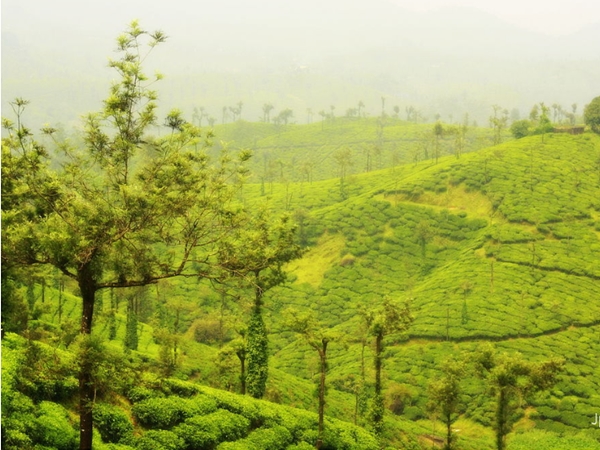 മലക്കപ്പാറ