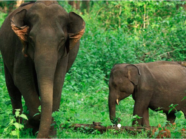 അടുത്തുള്ള സ്ഥലങ്ങള്‍