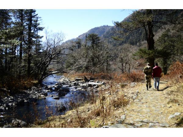 ഹൈക്കിങ്ങും ട്രക്കിങ്ങും