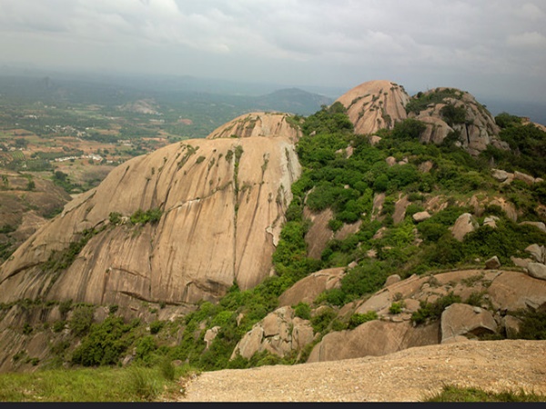 എത്തിച്ചേരാൻ