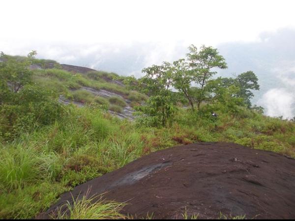 മീനുളിയൻ പാറ