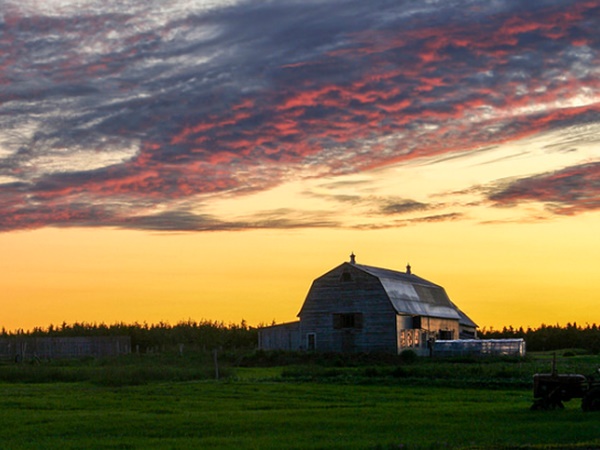 എന്തുകൊണ്ട് ഫോങ്പുയി
