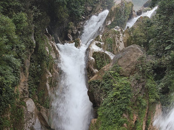 ലോലർ ഫോളും അപ്പർ ഫോളും