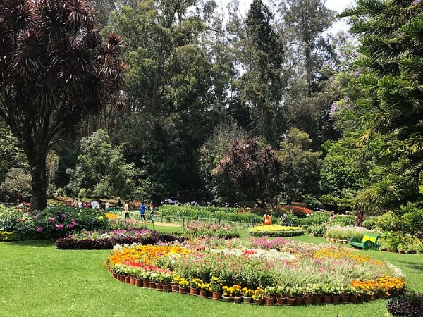 ഇത്തവണത്തെ ആകർഷണങ്ങൾ