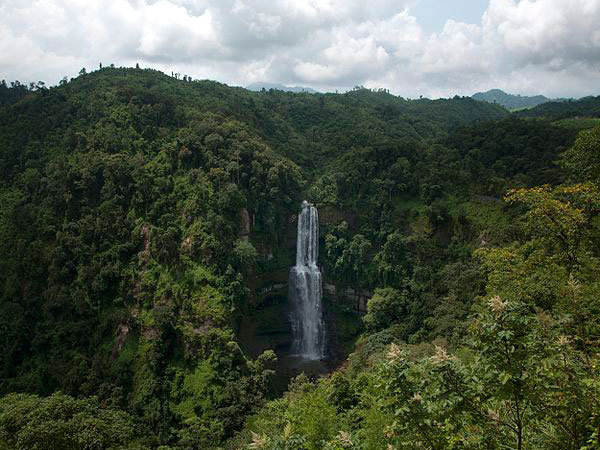 സെർചിപ്