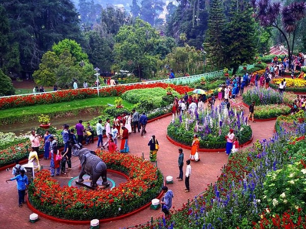 55 ഏക്കറിലെ വിസ്മയം