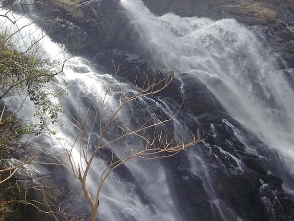 മീന്‍മുട്ടി വെള്ളച്ചാട്ടം 