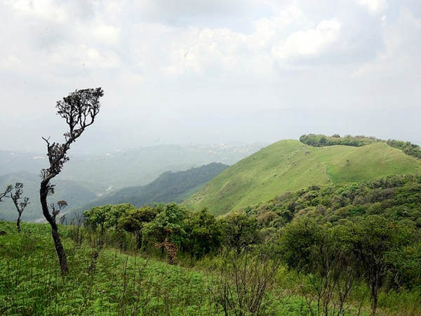 സിരോഹി ദേശീയോദ്യാനം