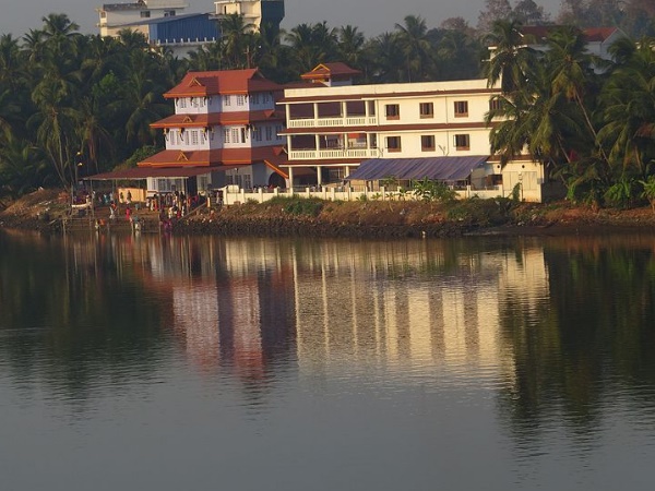 സ്വതന്ത്ര്യമായി വിഹരിക്കുന്ന നായകൾ