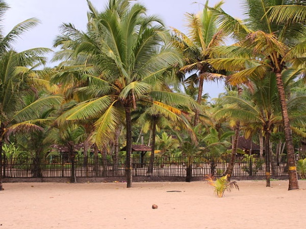  ശാന്തതയ്ക്കും സ്വസ്ഥതയ്ക്കും മാരാരി ബീച്ച്