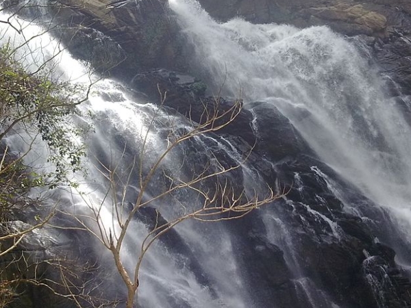 മീന്‍മുട്ടി വെള്ളച്ചാട്ടം