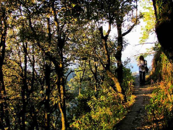 ട്രെക്കിംഗ് ട്രെക്കിംഗിനും 