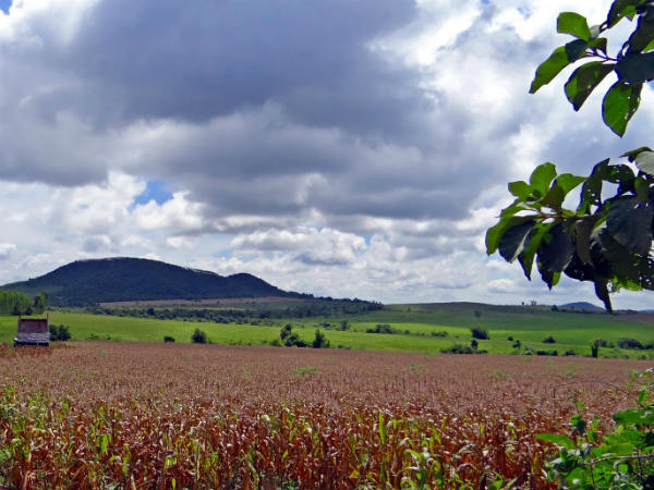 ബീഹാരിനാഥ്