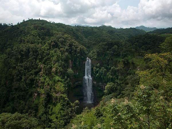 സെർചിപ് 