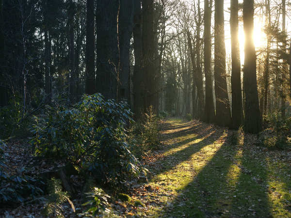 ജിൽമിളി