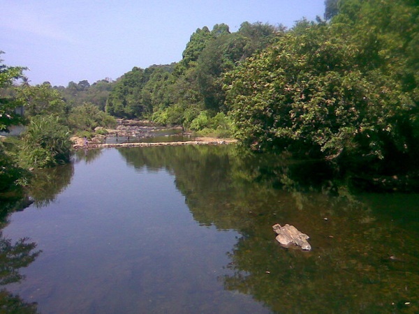 ചിങ്കണ്ണിപ്പുഴ