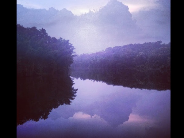 നെല്ലിയാമ്പതി