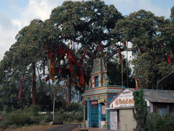 കുട്രാലനാഥര്‍ ക്ഷേത്രം