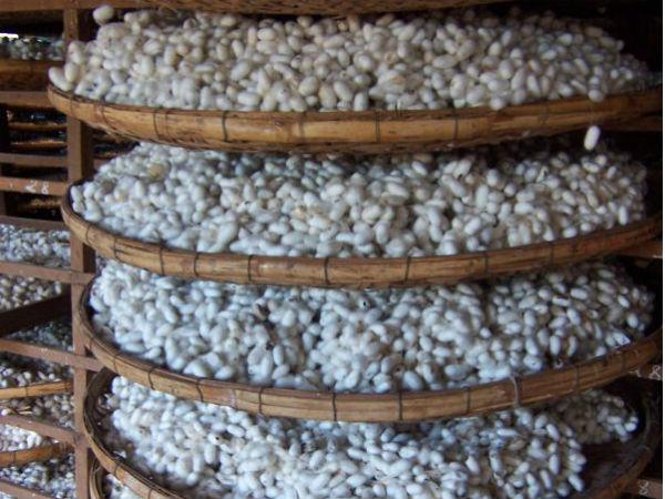 കർണ്ണാടകയുടെ സിൽക്ക് സിറ്റി