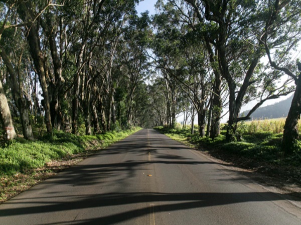ഇഗോർചെം ബാന്ധ്