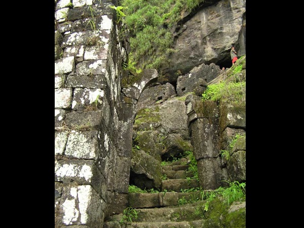 പ്രത്യേകതകൾ