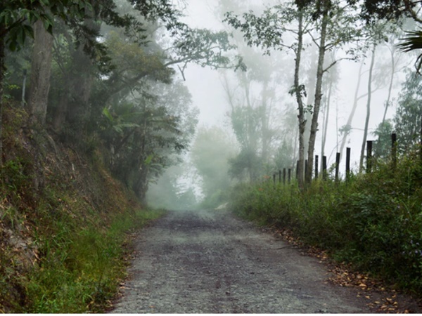 ബേയ്ടാഖോൽ