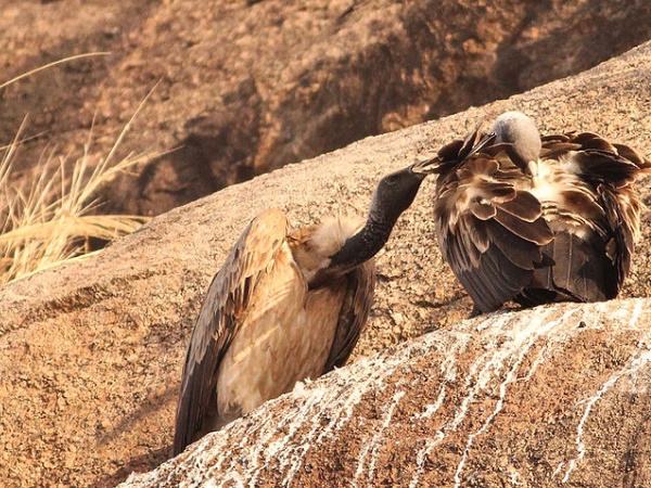 രാംനഗര ട്രക്കിങ്ങ്