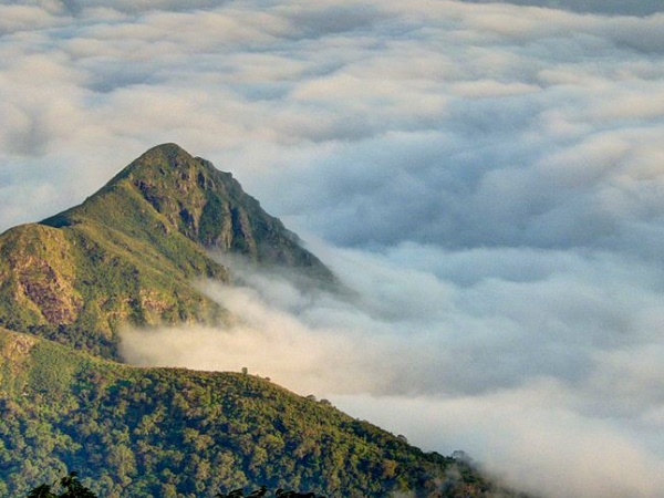 അട്ടപ്പാടി