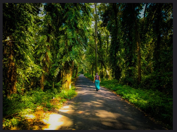  കേരളത്തിലെ യഥാർഥ മൺസൂണ്‍ ഡെസ്റ്റിനേഷൻ കുമരകം