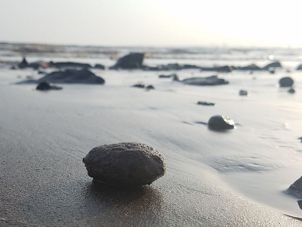 കറുത്ത മണ്ണ്