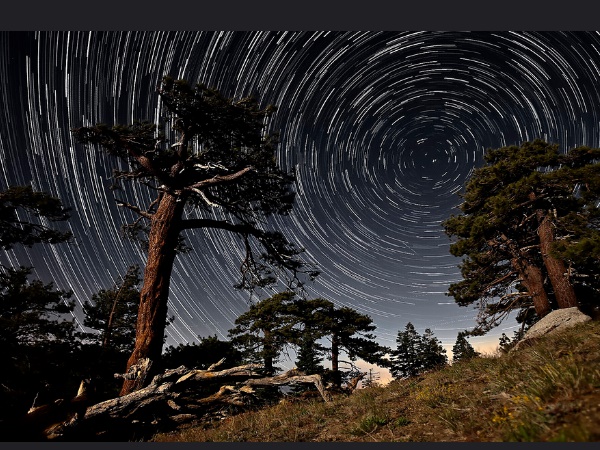 നുബ്രാ വാലി