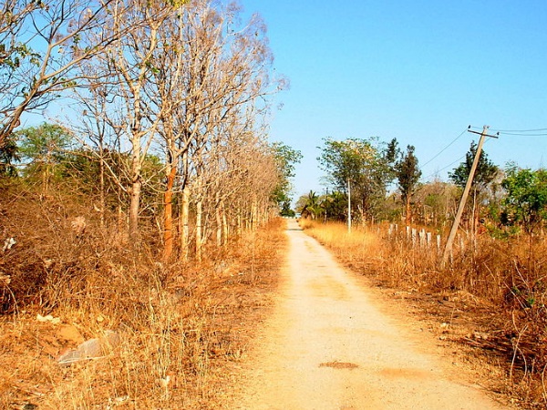  സിനിമാ ഷൂട്ടിങ്ങ്