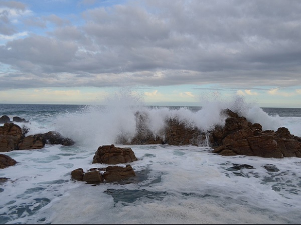 പകൽ സാധാരണ പോലെ