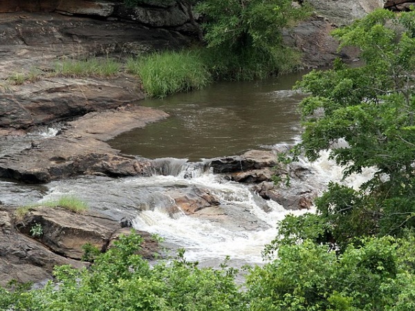 ജാനകിക്കാട്