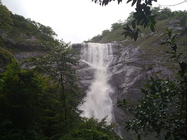 പാലരുവിയിലേക്ക്
