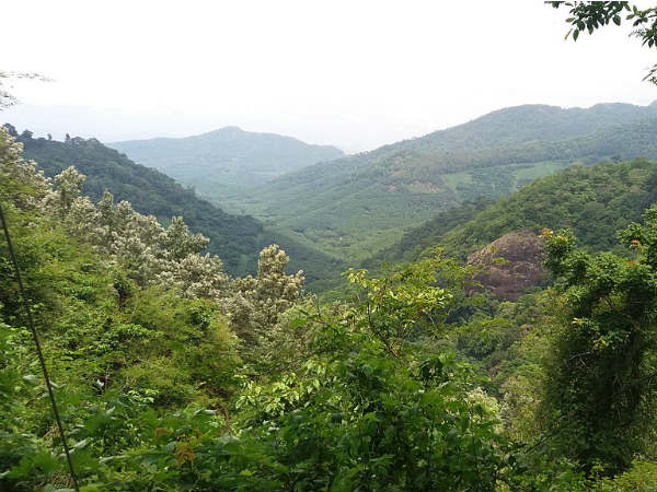 അമ്പനാട് ഹിൽസ്