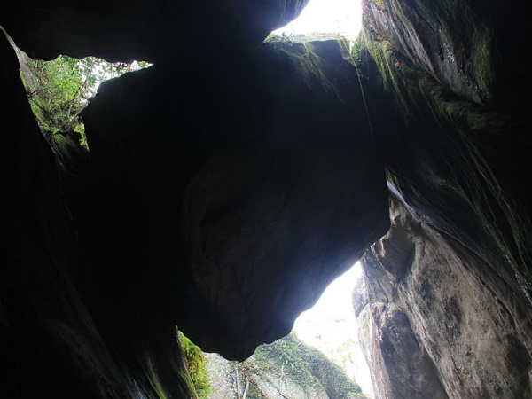 എടയ്ക്കൽ ഗുഹകൾ