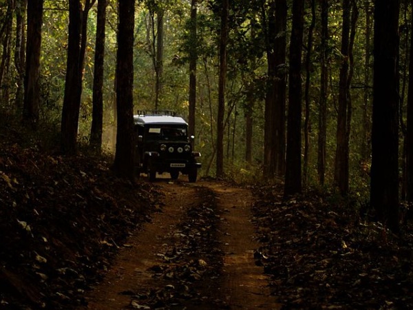 എലിമ്പിലേരി