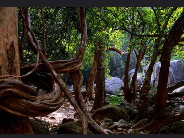 കാറ്റാടിക്കടവ്