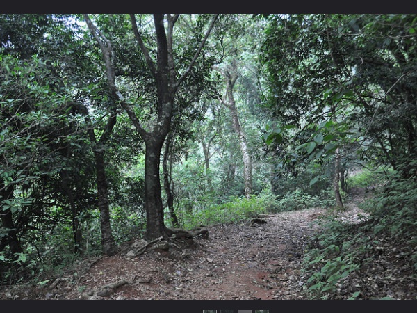 എത്തിച്ചേരാൻ