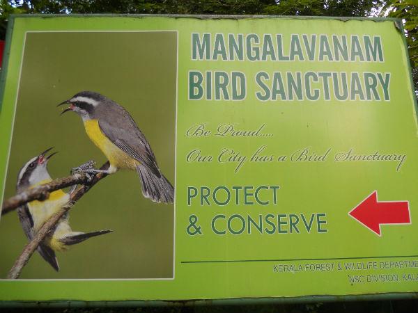 മംഗളവനം