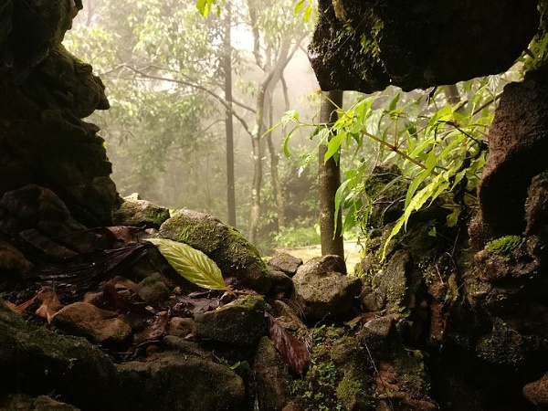 മഴയിൽ സുന്ദരിയാകുന്ന മേഘാലയ