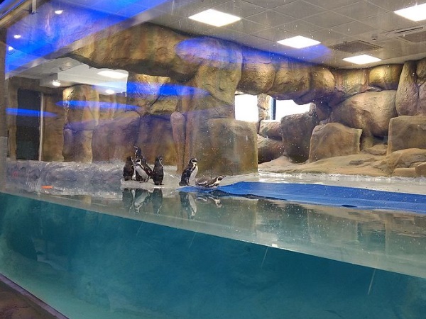 മുംബൈ മൃഗശാല