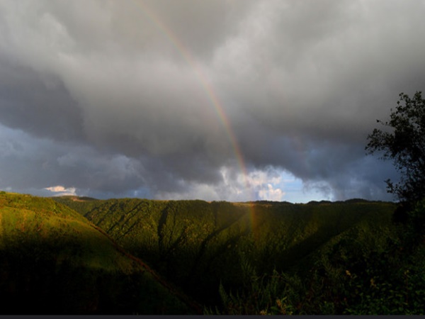 നോക്റെ ക്ക് ദേശീയോദ്യാനം-ചുവന്ന പാണ്ടകളുടെ ആവാസ കേന്ദ്രം