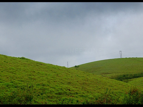 ഷൂട്ടിങ് പോയന്റ്