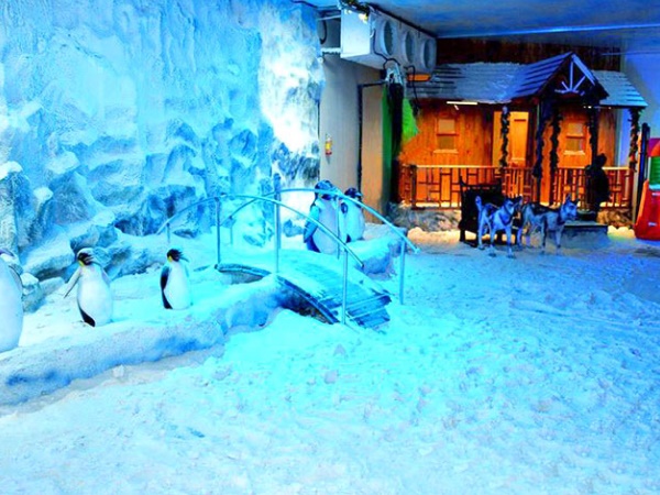 സ്നോ വേൾഡ്