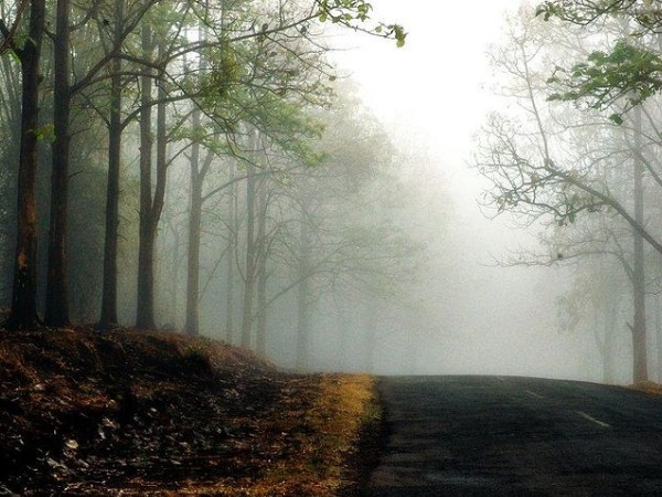 സുൽത്താൻ ബത്തേരി